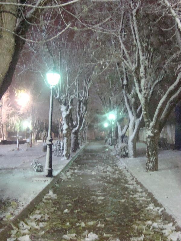 NIEVE - 14 - 12 - 09 006